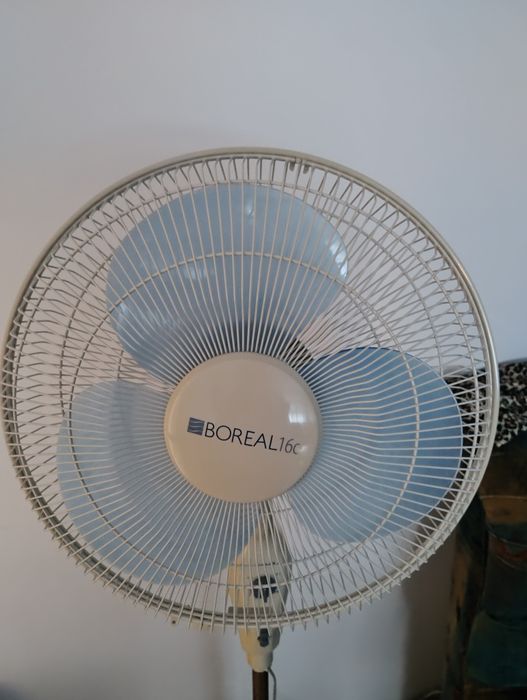 Ventilator Boreal