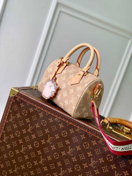 Geanta Louis Vuitton Speedy