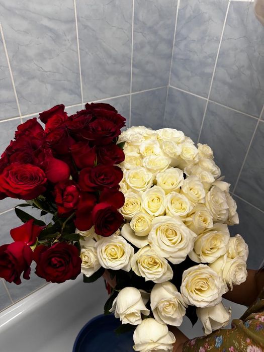 продаю букет срочно белый и красный роза
