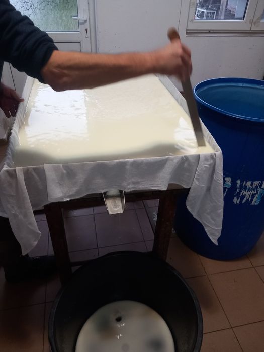 Telemea și cas de capra