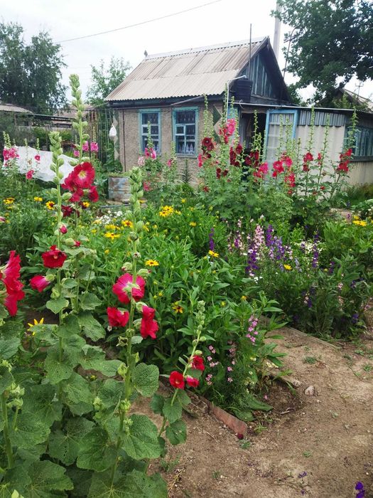 Продам дачу на Бобровке