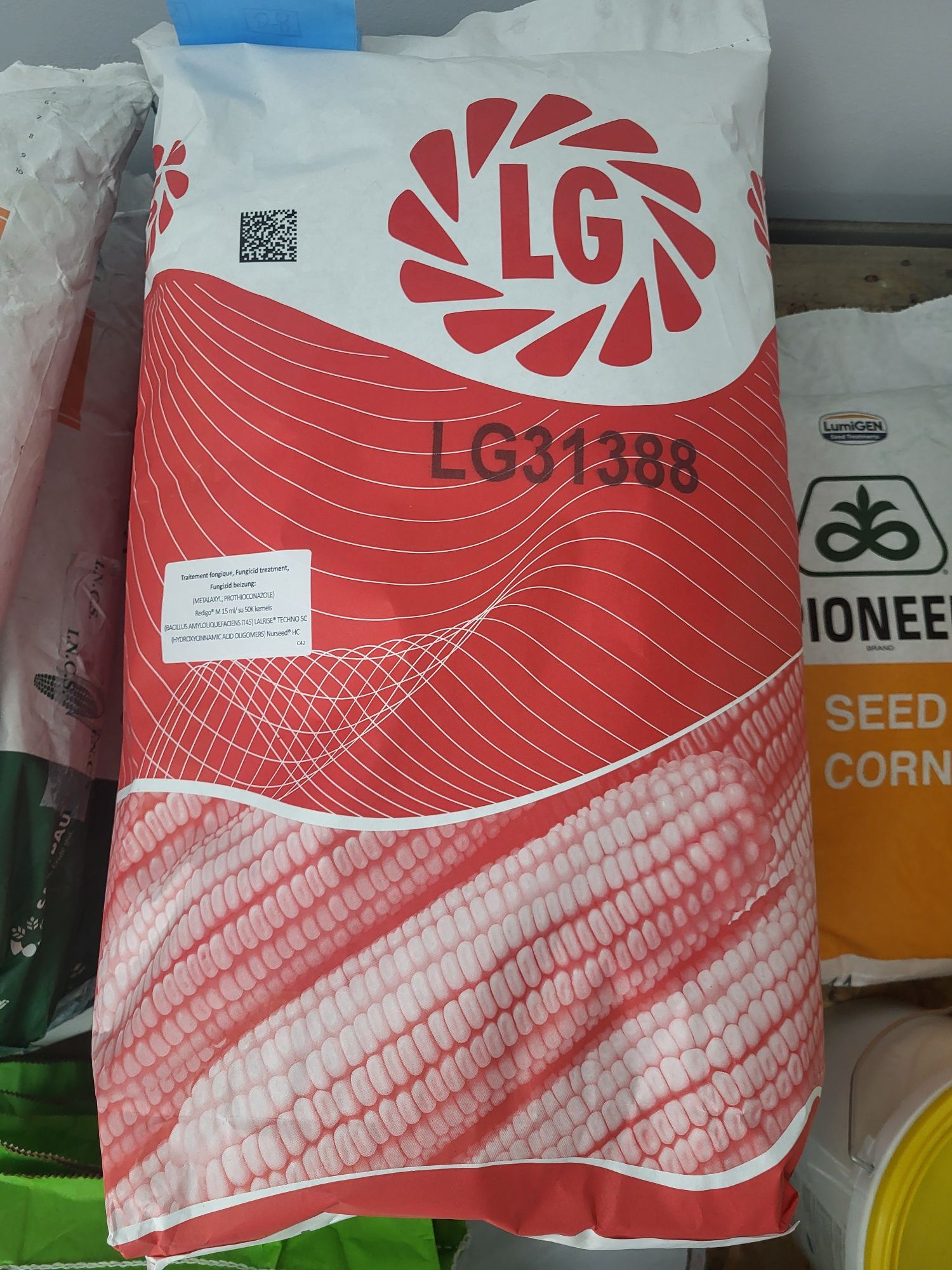 LG Limagrain seminte porumb