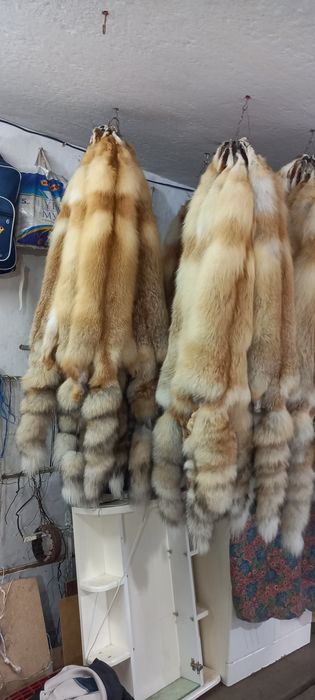 Шкуры лис отличной выделки