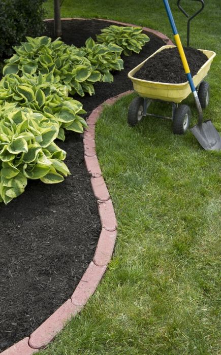 Gradinarit  Gazon Garduri Vii