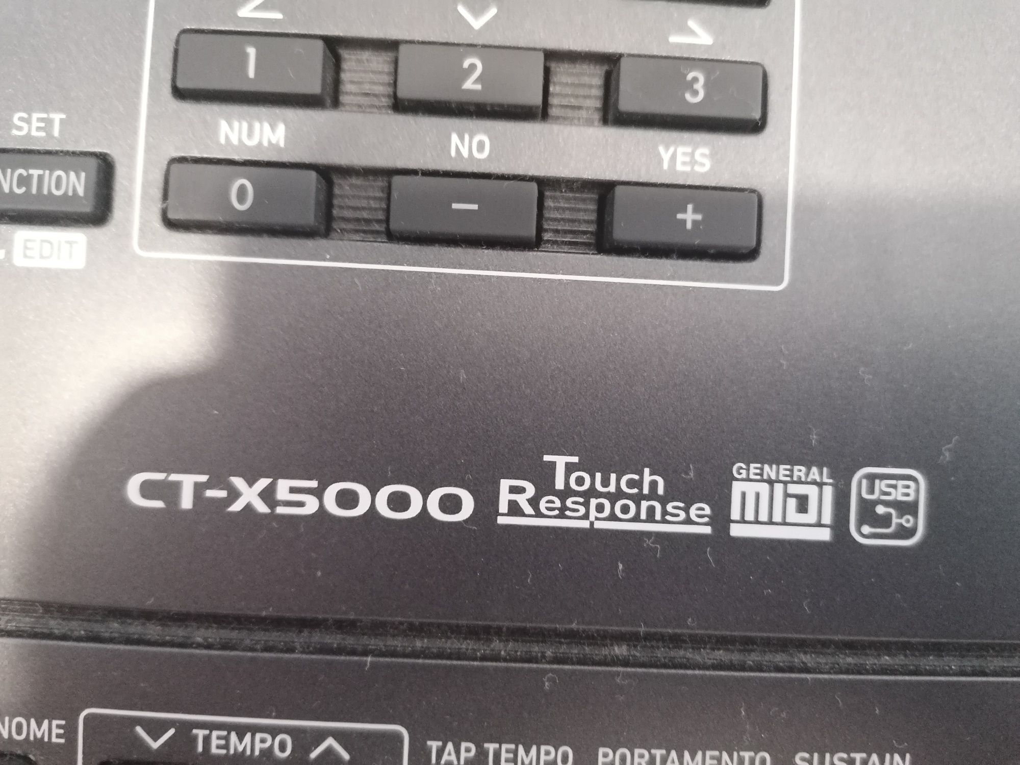 Orga Casio CT-X 5000