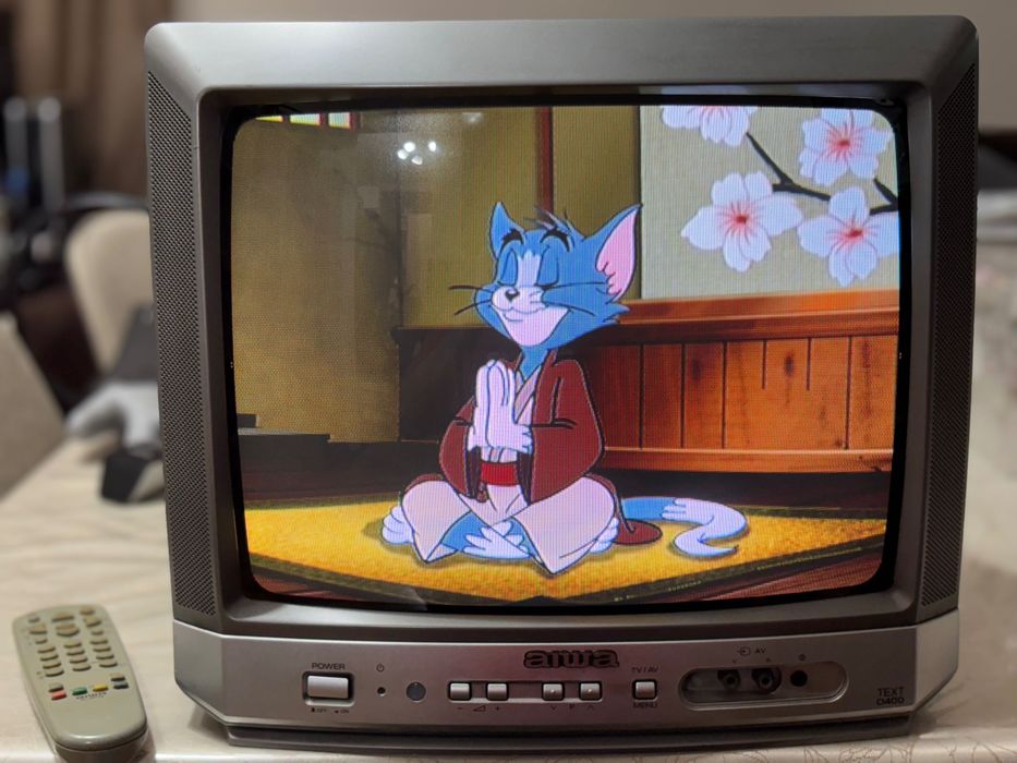 TV Sport Color 14" AIWA Model: TV-C1400KH + Telecomanda Originala