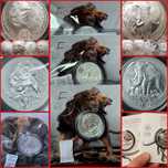 Africa de Sud Big 5 Five I, II si III monede lingou argint pur 999