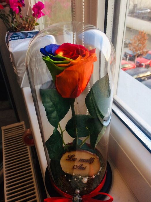 Cadou criogenat ideal pt orice aniversare