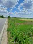 Vând teren 2500 mp în Bolintin Vale