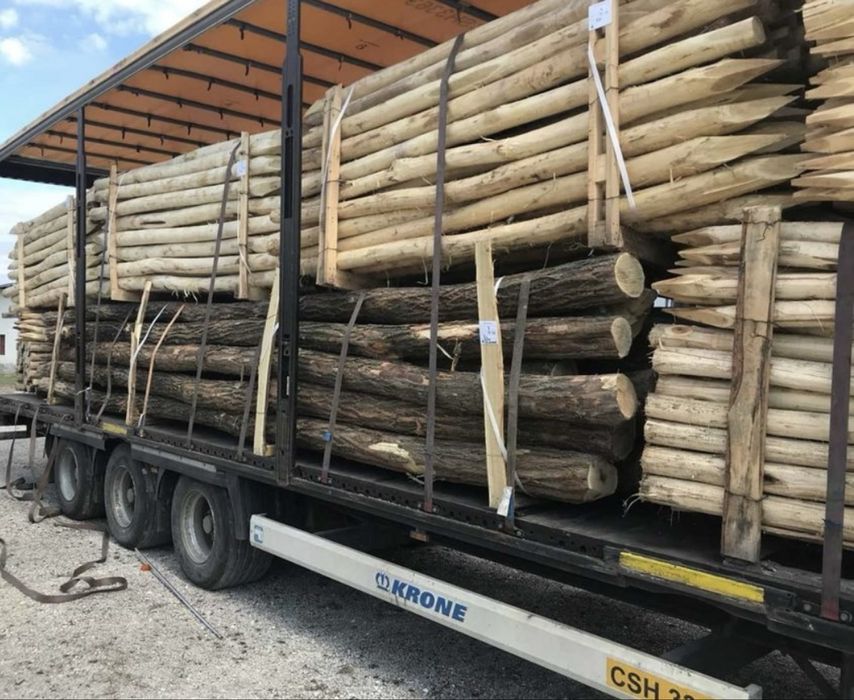 Stalpi/Pari de salcam pentru gard