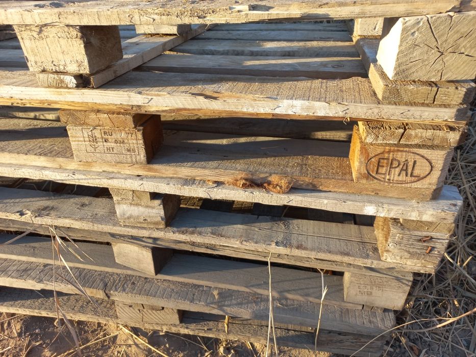 Продаётся поддоны, цена 1000 теңге  штука