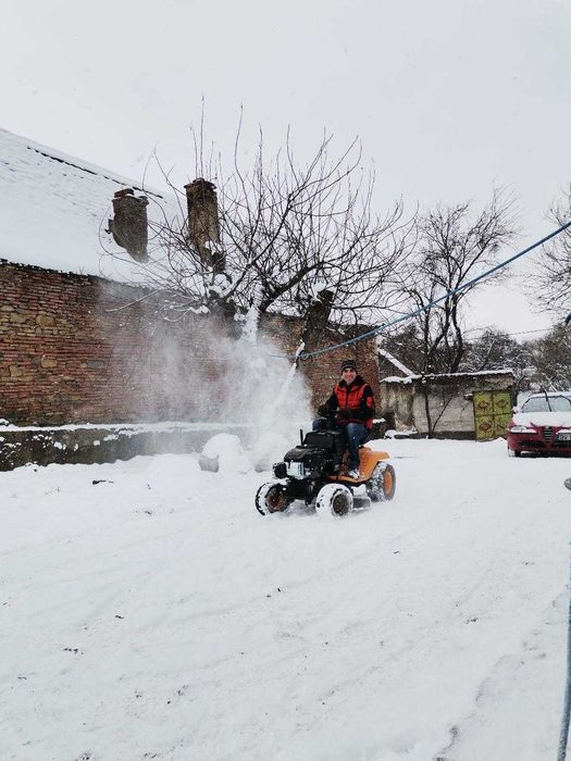 Tai Tund Iarba Plante Gazon Curat Radacini Nivelez Teren