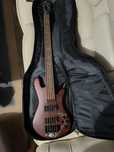 Spector Legend 5 neck -thru