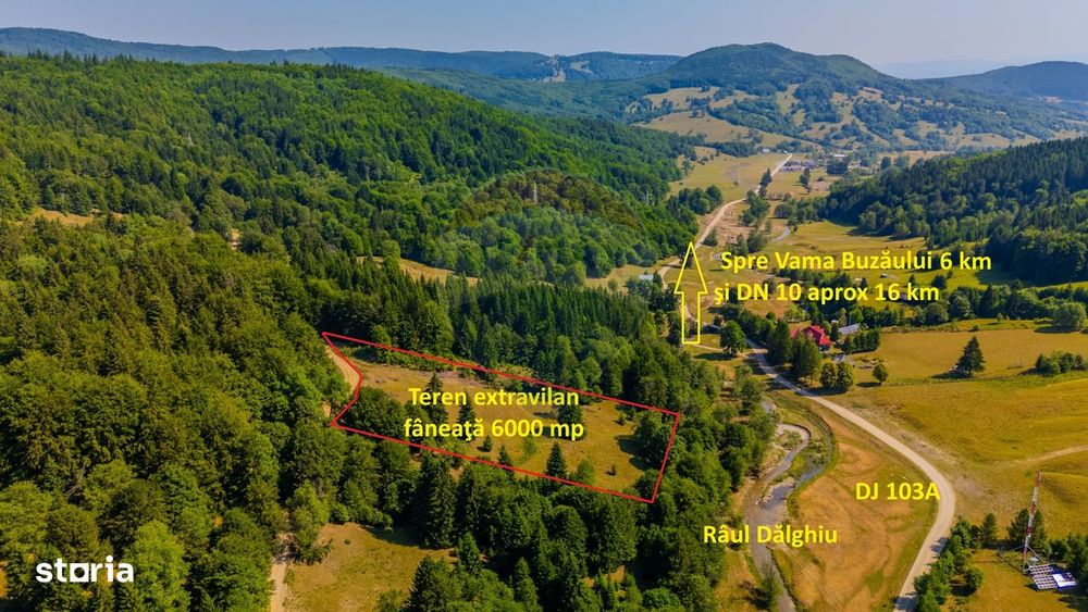 Teren 6000 mp, Vama Buzaului - vedere către Ciucaș