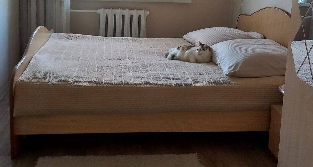 Продам кровать 2х спальную+тумба.