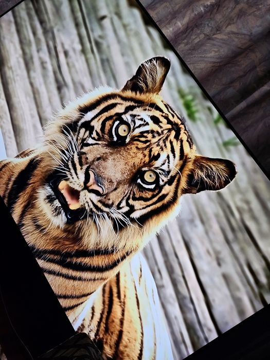 Телевизор  4К Qled Самсунг QE 55 Q 95t