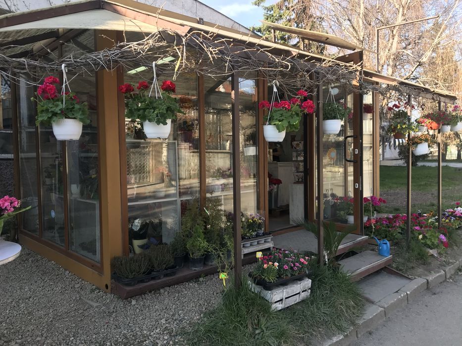 Цветарски магазин Топ локация