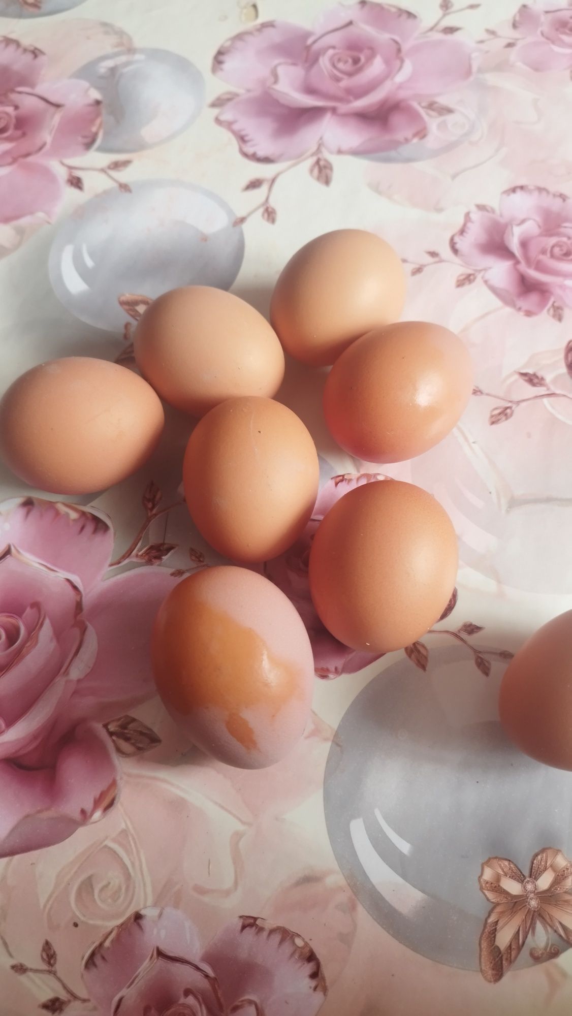 ---Домашние яйца --
