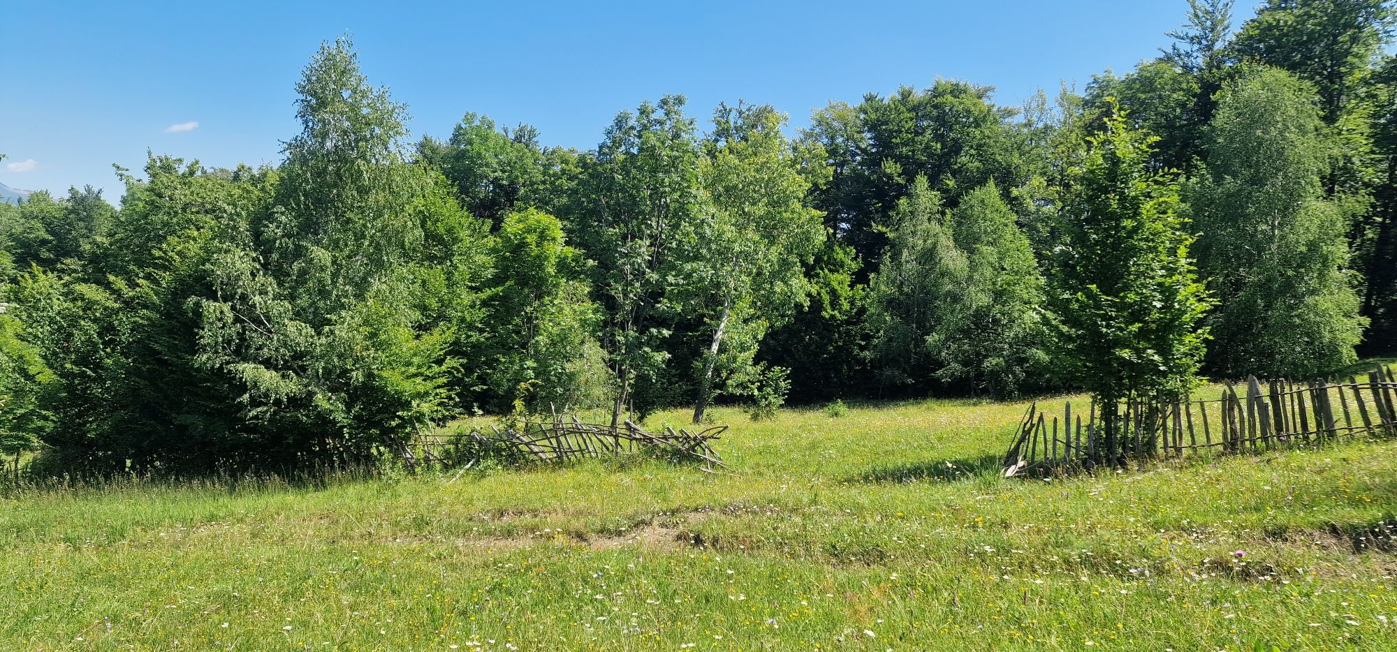 Teren Talea-Breaza lângă pădure