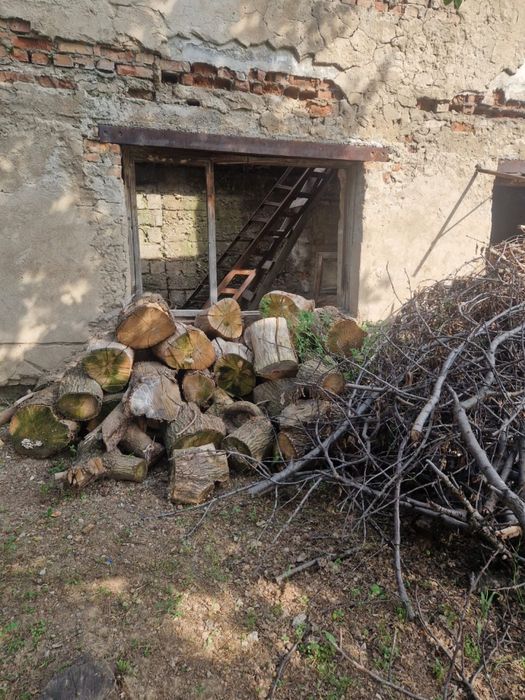 Дрова, ветки и бревна