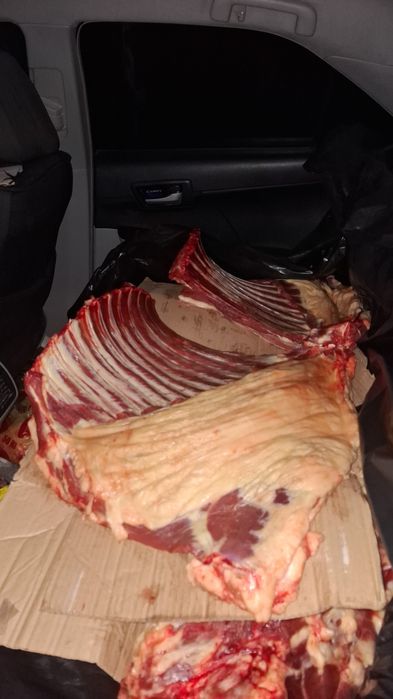 Продам мясо.   0