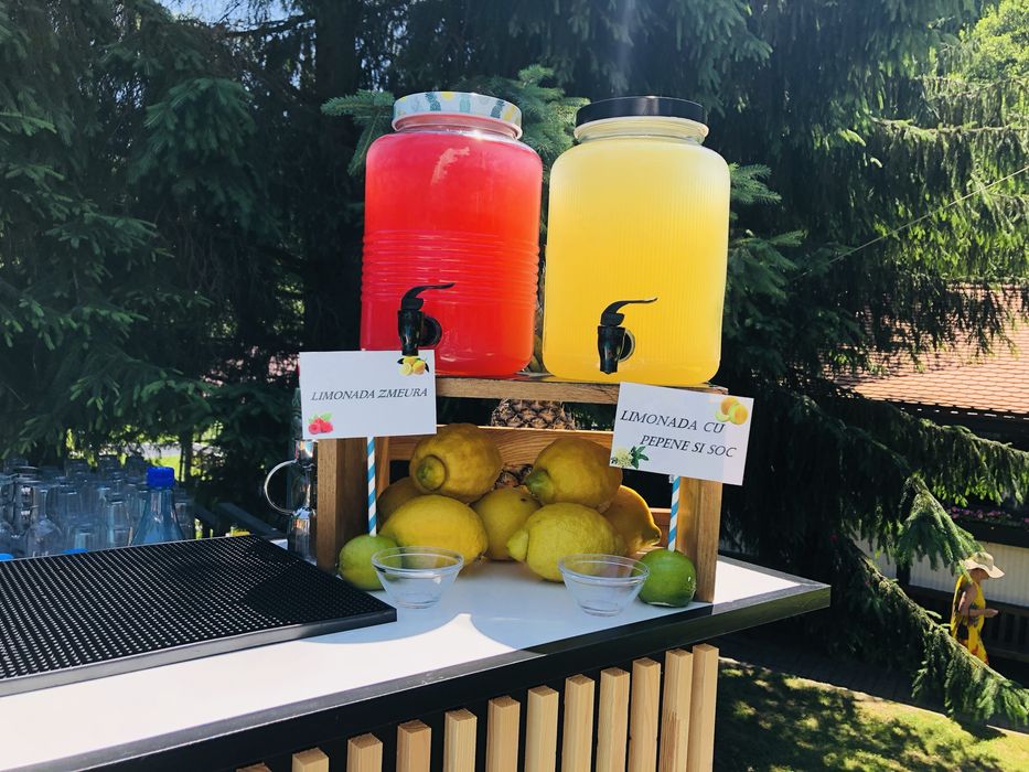 Cocktail bar,bar mobil,barmani evenimente private