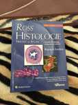 Histologie Ross în română
