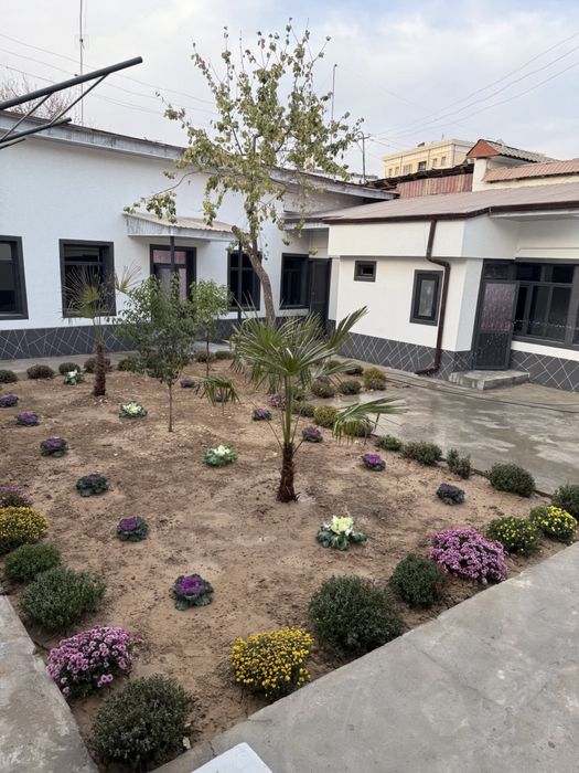 uy sotilad 3 sotik tayor bartiram bor domga qorasaroy atrofida