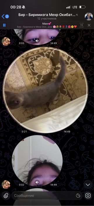 кошка очен сладко кошка