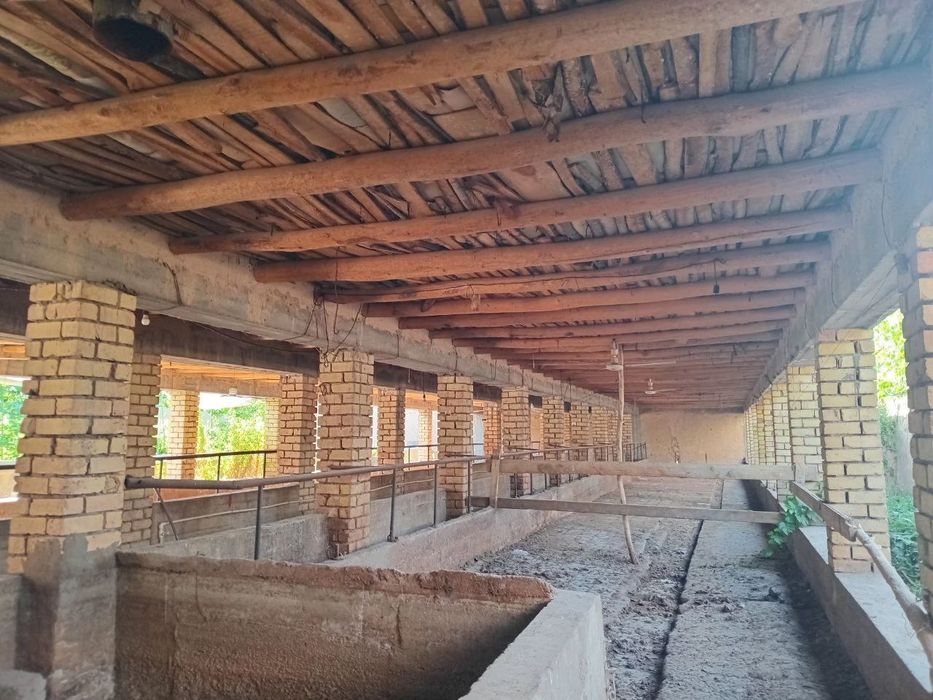 Участок 26 соток