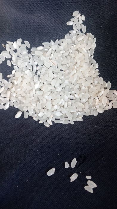 Куриш бар орташа ири