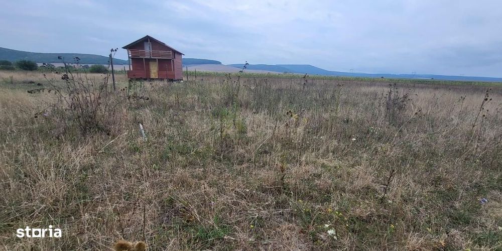 Teren de vanzare in com. Ilieni jud. Covasna