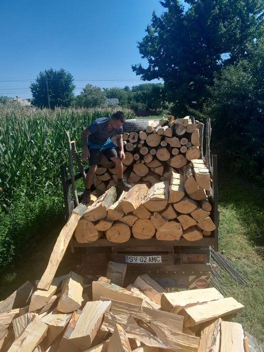Lemne de foc la domiciliu