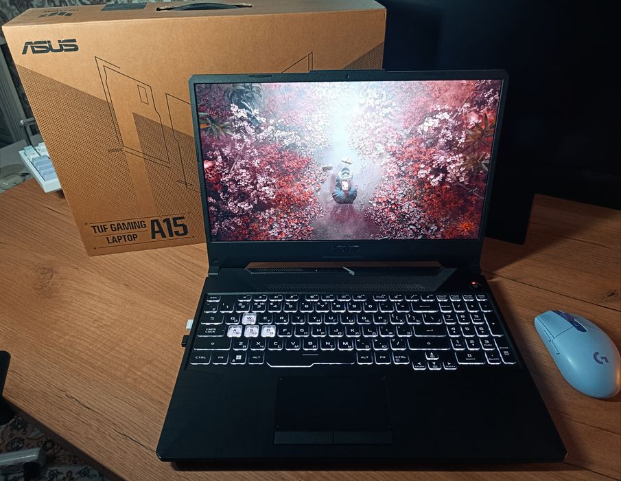 ASUS TUF Gaming A15 (FA506NC)