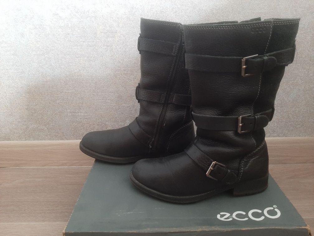 Зимние сапожки ecco