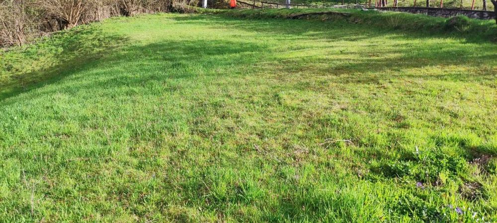 Teren in Campeni, Alba