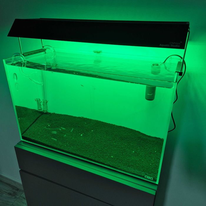 Setup complet acvariu Ada 60p aquascaping