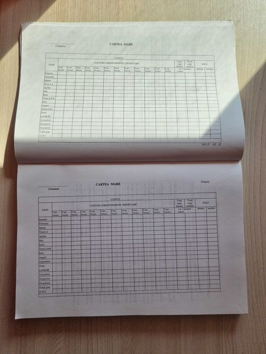 Carte Ministerul Finantelor - Norme metodologice - FORMULARE contabile