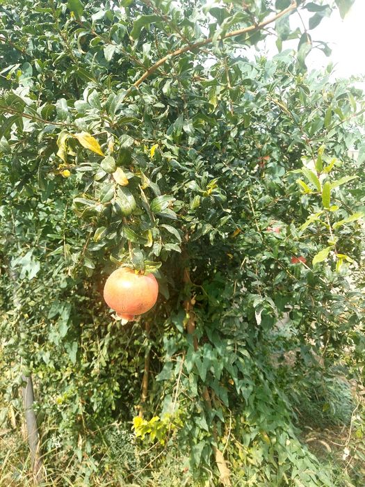 Срочно!!!Продаётся дом.