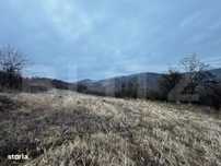 Teren extravilan 4300 mp, zona Criseni - Paclisa - Vintul de Jos