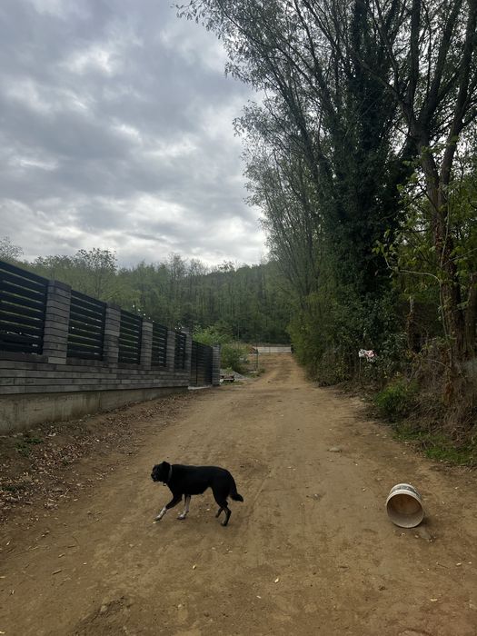 Parcela teren intravilan Vernesti-Sasenii Vechi