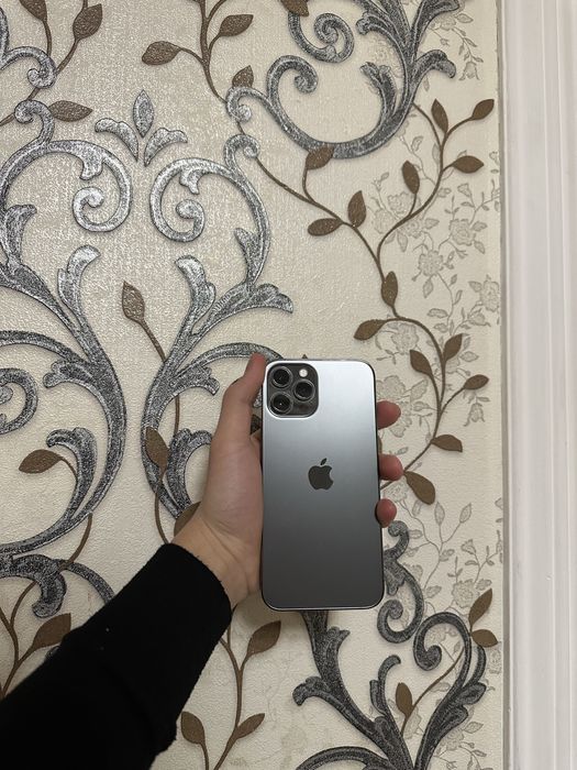 iphone 12 pro max