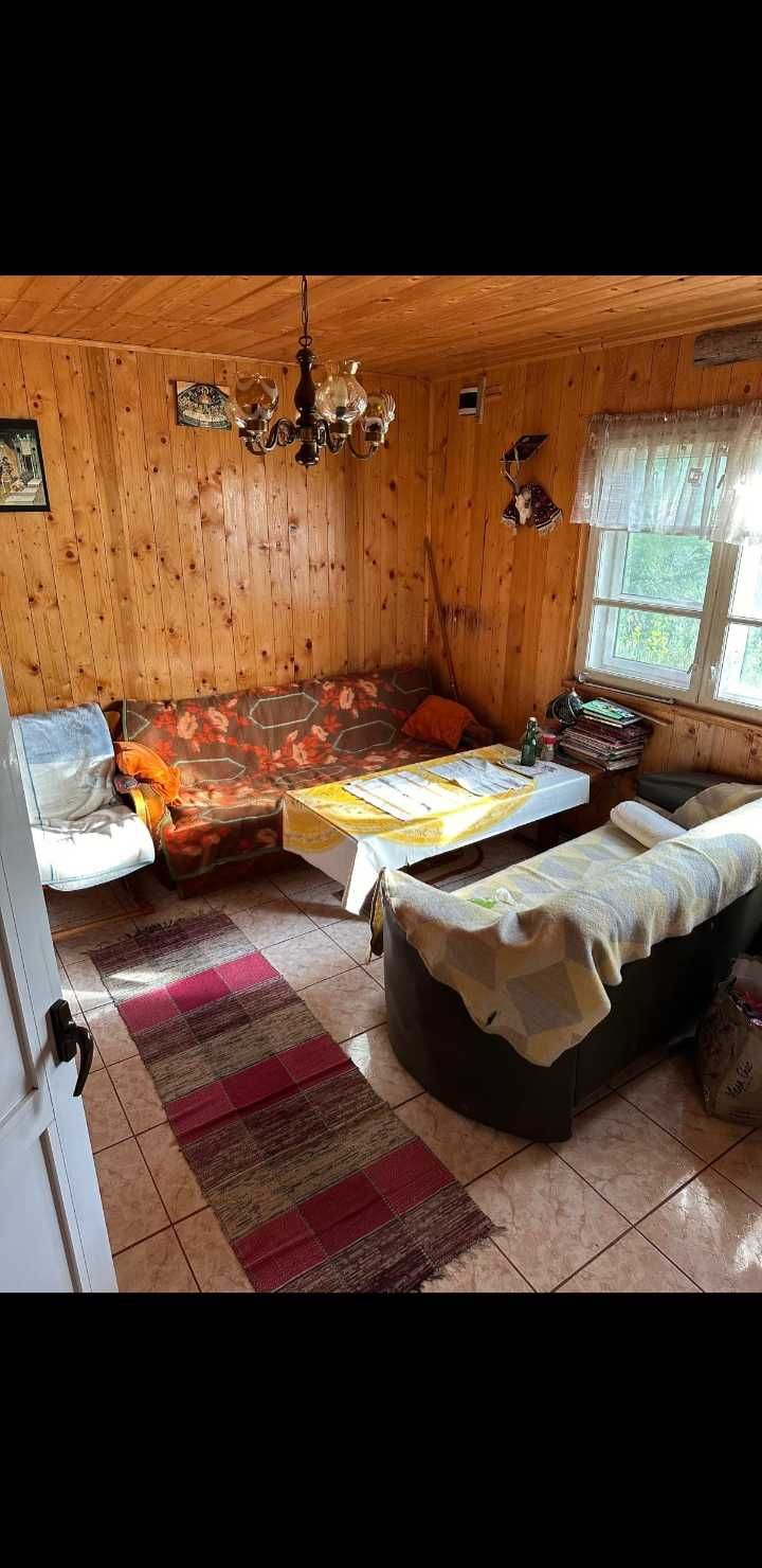Inchiriez cabana pentru Untold si fac transport pentru 6 persoane
