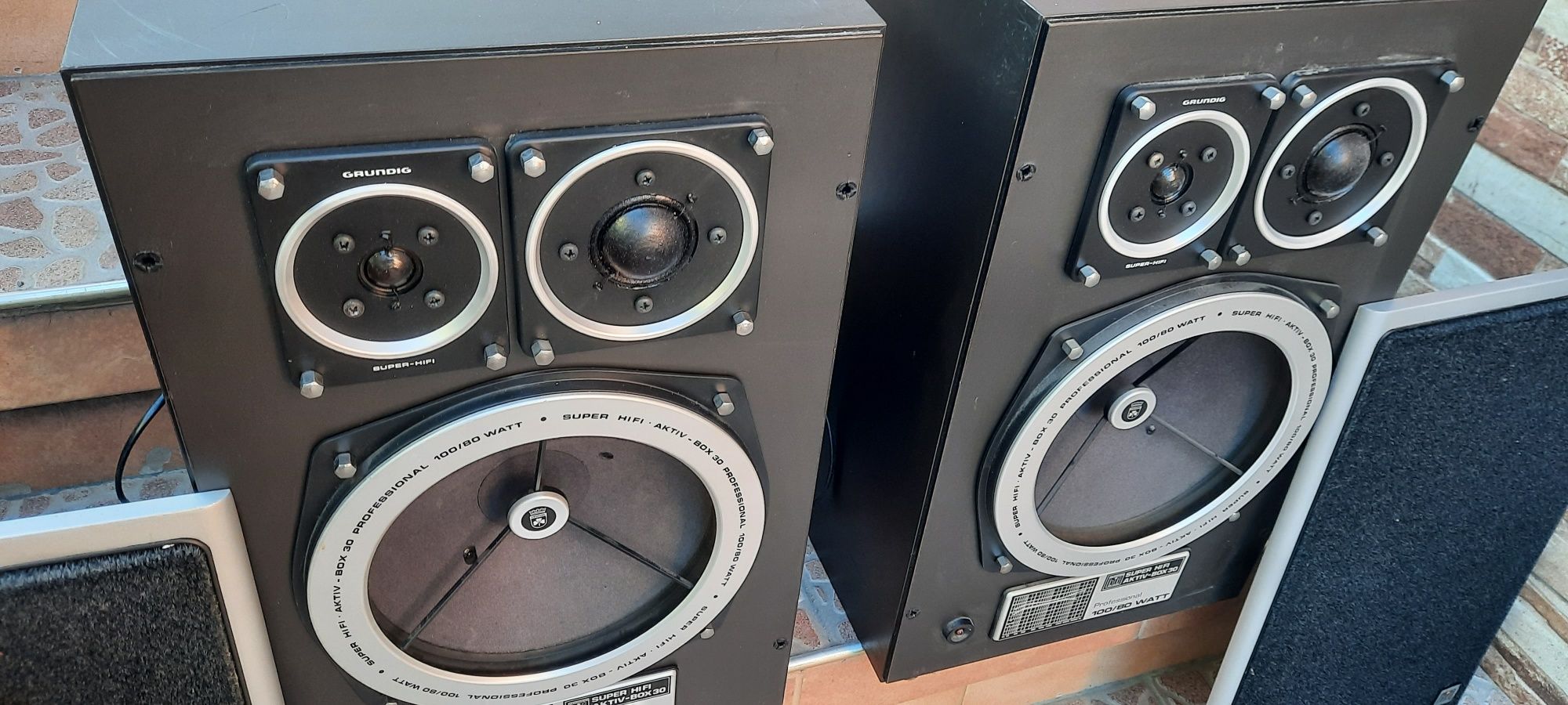 Grundig Profesional Box30  Тонколони с Усилвател
