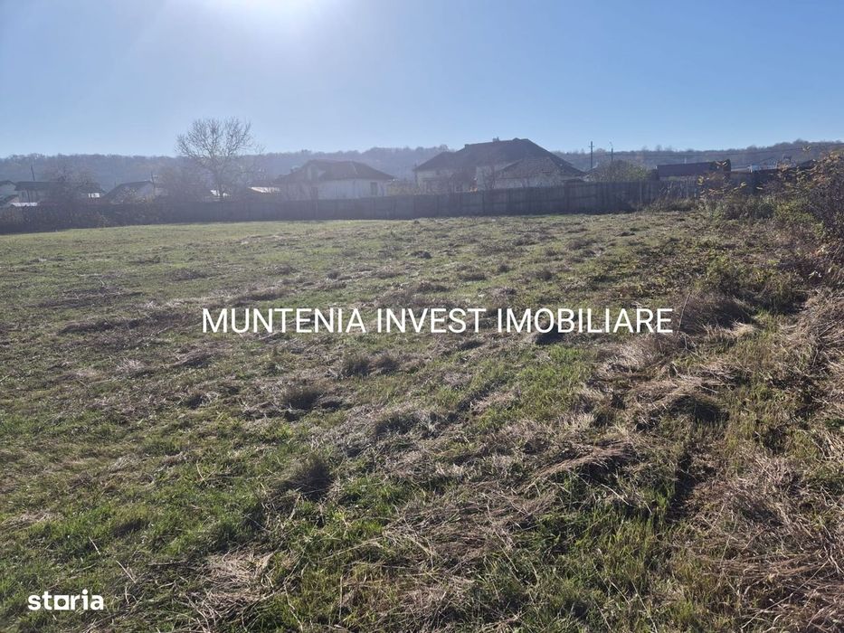 Teren 4600 mp. Com. Merisani,sat Dobrogostea