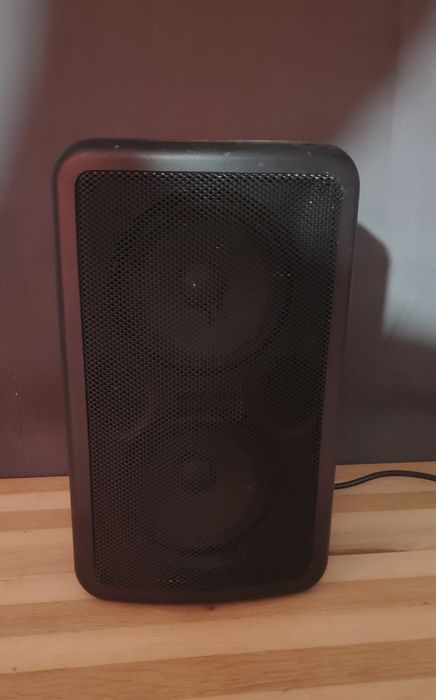 Boxa activa 100W alimentare 220V