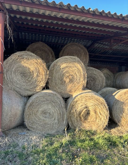Рулонни бали сено