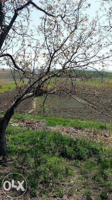 Teren intravilan de vanzare