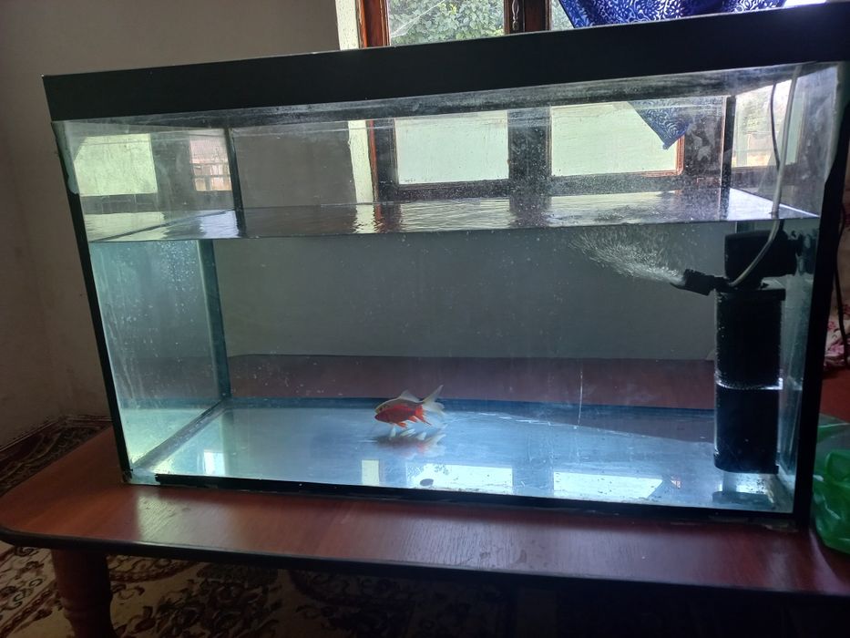 Продам аквариум.Аквариум