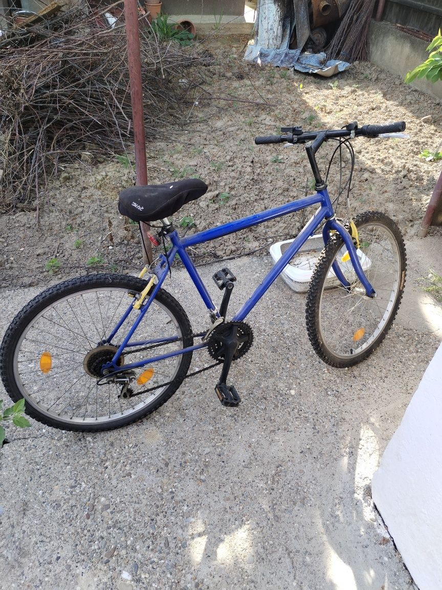 Bicicleta adulți